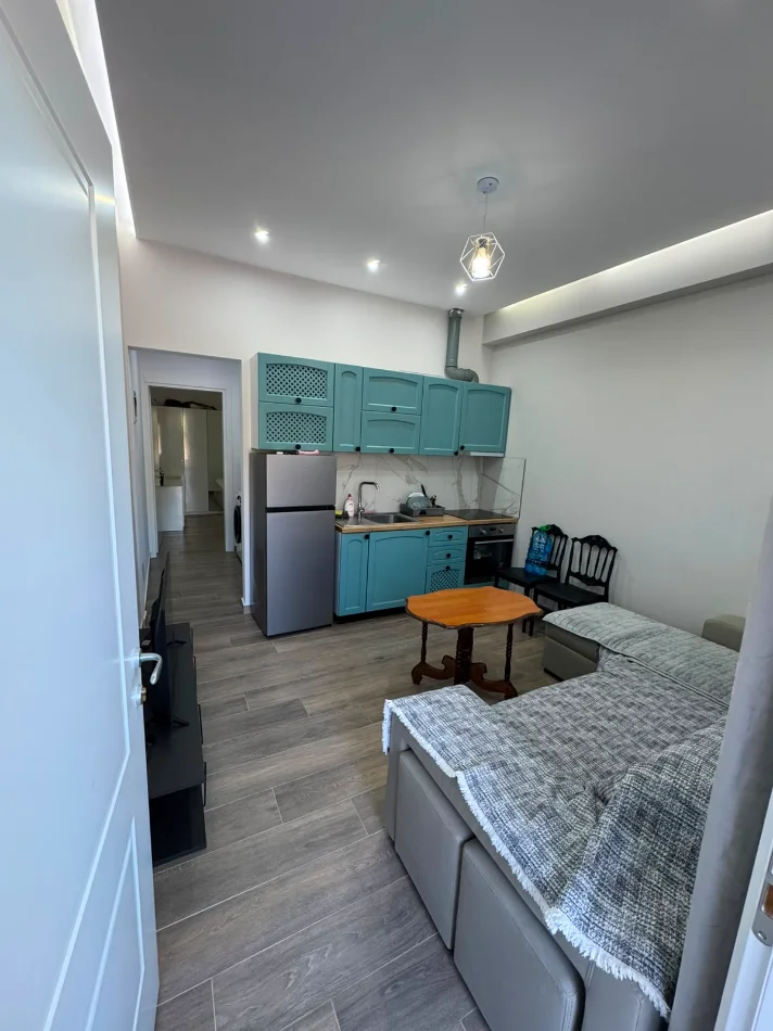 Tirane, jepet me qera apartament 1+1 Kati 1, 63 m² 370 € (vilat gjermane)