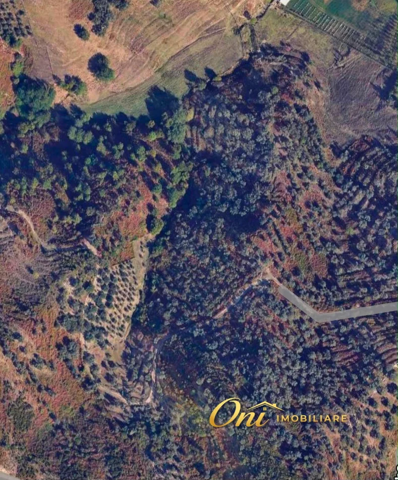 Tirane, shitet toke , 12.000 m² 1.200.000 € (MJULL-BATHORE)
