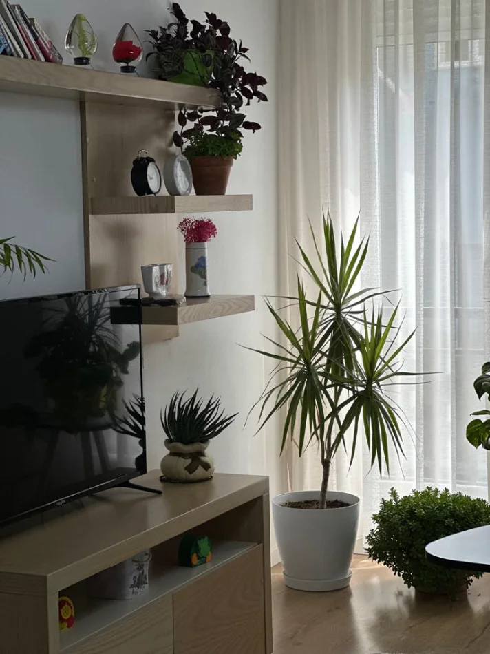 Tirane, jepet me qera apartament 2+1+Ballkon Kati 1, 106 m² 650 € (Rruga e Dibres)