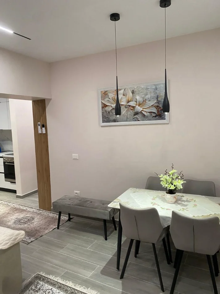 Tirane, jepet me qera apartament 1+1 Kati 1, 60 m² 650 € (Rruga e Elbasanit)