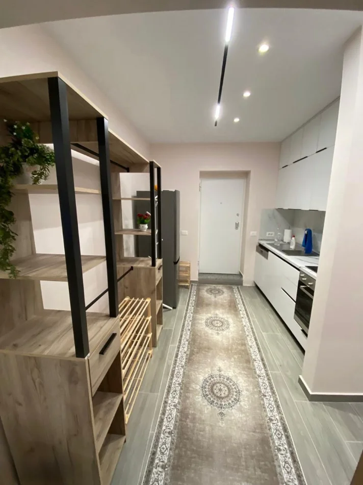 Tirane, jepet me qera apartament 1+1 Kati 1, 60 m² 650 € (Rruga e Elbasanit)