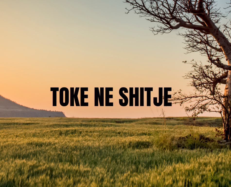 🔺️SHITET TOKE  NE FUSHE KRUJE🔺️