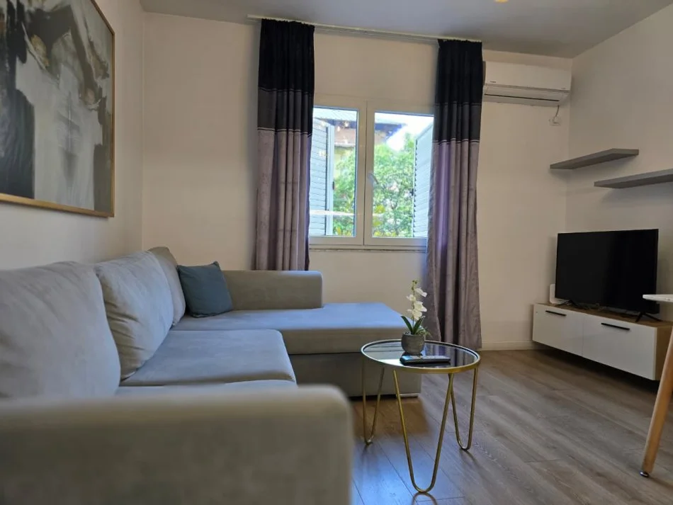 Tirane, jepet me qera apartament 1+1+Ballkon , 650 € 