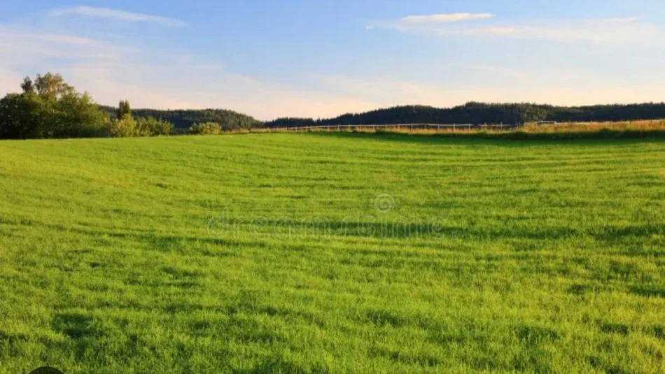 Tirane, shitet toke bujqesore , 1.323 m² (Ibe)