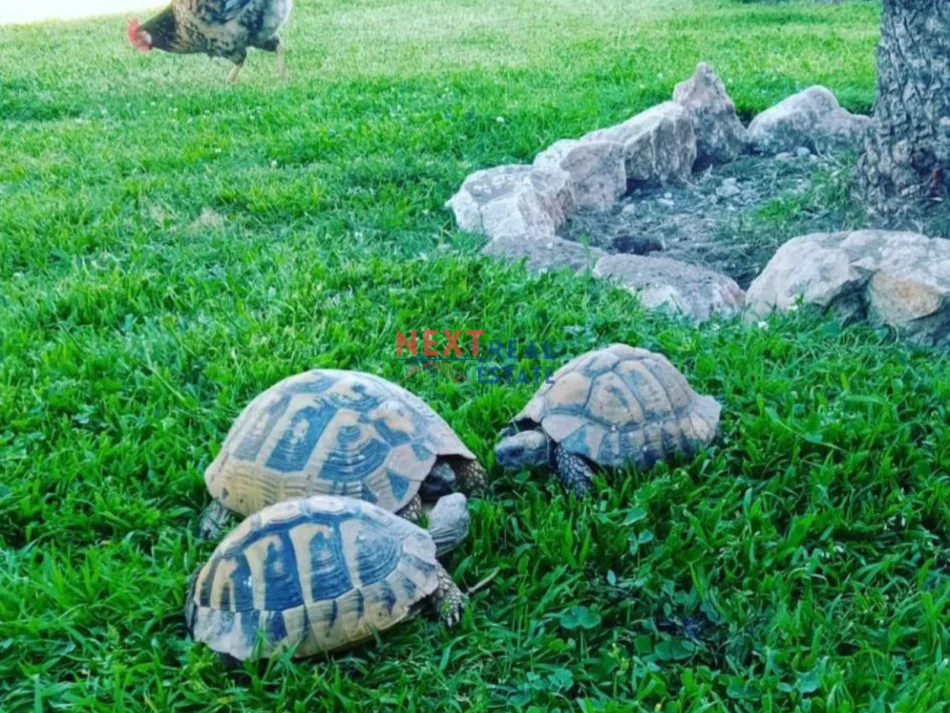 Vlore, jepet me qera apartament 1+1 , 400 € (LUNGOMARE)