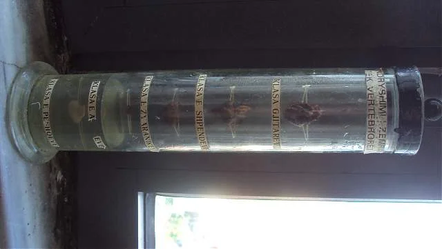 Tiranë, shes objekte mësimore të veçanta për universitete dhe shkolla Euro