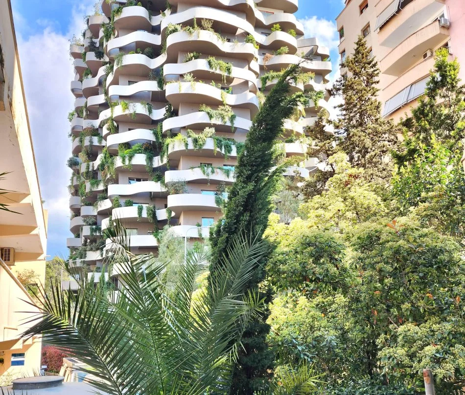 Me Qera: Zyre (55m2) |📍Rr. Elbasanit - Lion Park, perballe || 600€/muaj | I Rinovuar