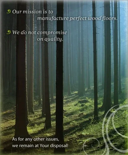 Tirane, - Parkete Laminat Gjermane, Parkete  Druri --" VIZION IMPEX"