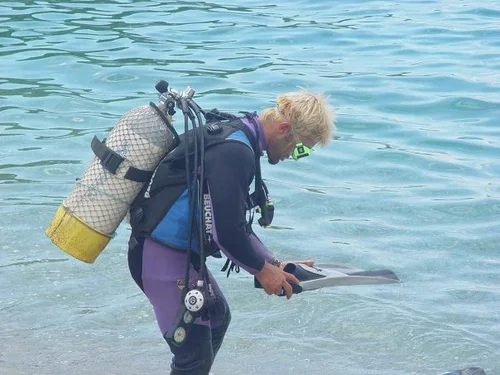 Vlore, ofroj Kamping-cader 5.000 m² 1.000 Leke/nata (Jal, Himare)