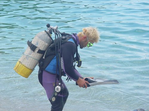 Vlore, ofroj Kamping-cader 5.000 m² 1.000 Leke/nata (Jal, Himare)