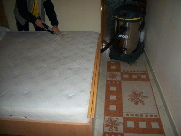 Tirane, - Firme pastrimi, zyrash, shtepi, bare restorante etj