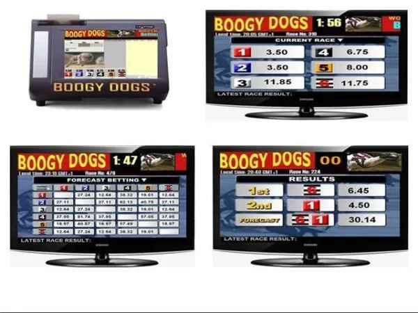 Shqiperi, shes 2.000