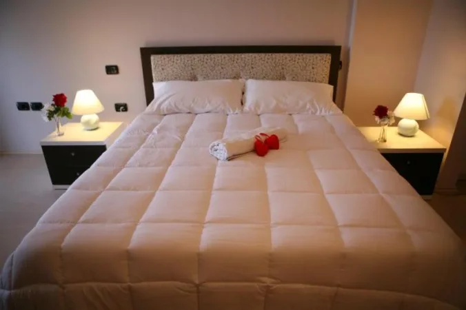 PAY 3 NIGHTS, STAY 4 NIGHTS hotel ALBION,DURRES