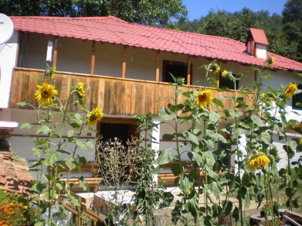 Stebleve, hostel, traditional food and guide(Shebenik- Jabllanice National Park)