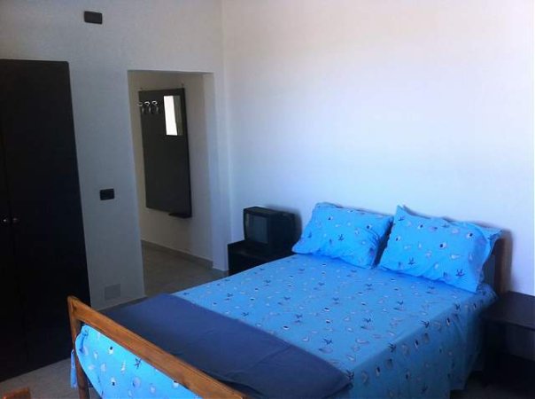 Plazhi Divjake, jap me qera apartament 55 m²  (Qendra e Plazhit Divjake)