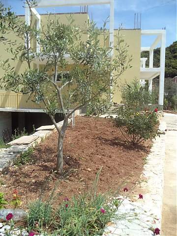 HIMARA, jap me qera dhome 30 m² 15 Euro (himare)