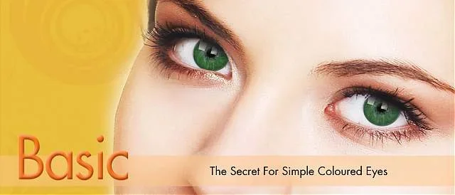 Tirane, - Faqe interneti Biznesi .al dhe programe ne php dhe mysql