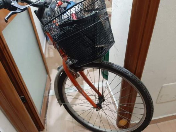 Tirane, shes biciklete Citybike Shimano 16.000 Leke