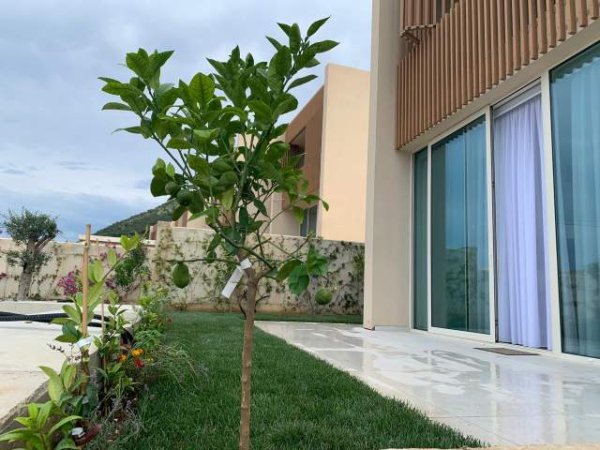 Trinity Green Coast Vila available for holiday rent, Dhermi, Palase, 300€ / per night