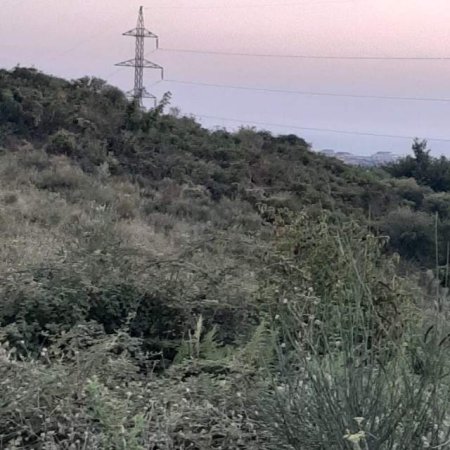 Kavaje, shes truall 3.800 m² 40.000 Euro (Kodrat e Golemit Kavaje)