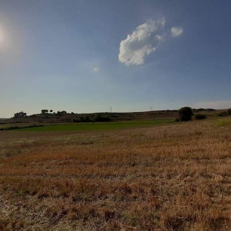 Kavaje, shes toke bujqesore 6.500 m² 110.500 Euro (Golem Kavaje)