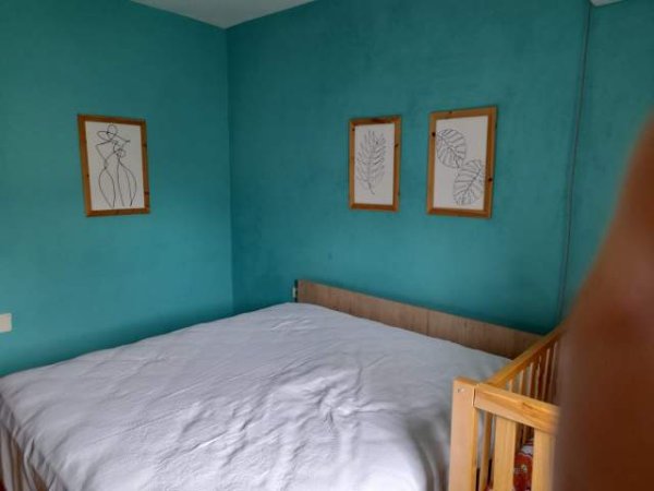 Tirane, jepet me qera apartament 2+1 Kati 2, 75 m² 330 Euro (Rr. Riza Cuka)