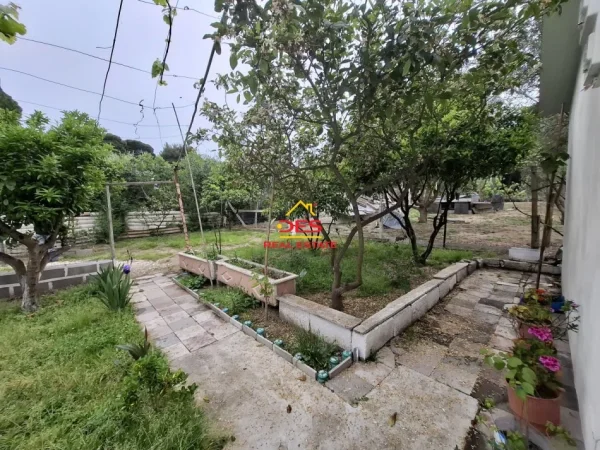 Vlore, jepet me qera shtepi Kati 0, 60 m² 150 € (Rr Sazani Vlorë)