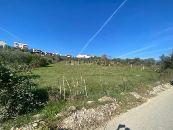 ‼️  𝐓𝐎𝐊𝐄 𝐍𝐄 𝐒𝐇𝐈𝐓𝐉𝐄 𝐄 𝐕𝐄𝐍𝐃𝐎𝐒𝐔𝐑 𝐍𝐄 𝐋𝐔𝐍𝐃𝐄𝐑  ‼️