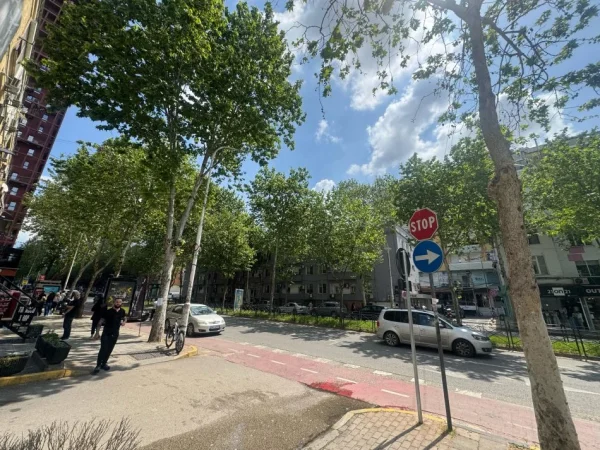 Tirane, jepet me qera dyqan Kati 1, 35 m² 500 € (rruga e kavajes)
