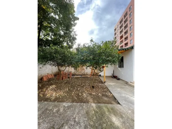 Tirane, jepet me qera apartament 1+1 Kati 0, 57 m² 550 € (Myslym Shyri)