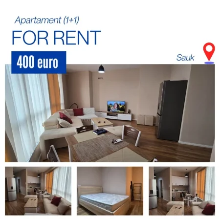 Tirane, jepet me qera apartament 1+1 , 60 m² 400 € (sauk i vjeter)