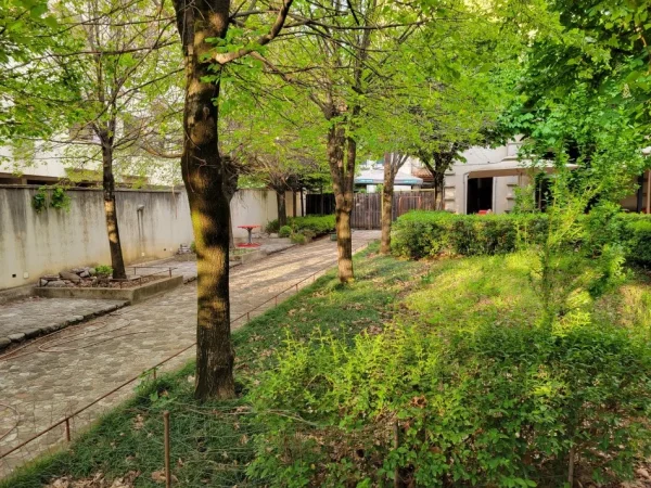 Tirane, jepet me qera ambjent biznesi Kati 0, 800 m² 1.100 € (Fresk)