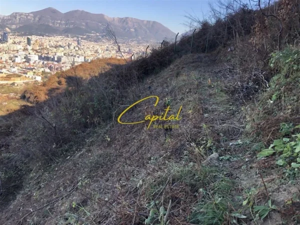 Tirane, shitet truall , 2.535 m² 510.000 € (KODRA E DIELLIT 2)