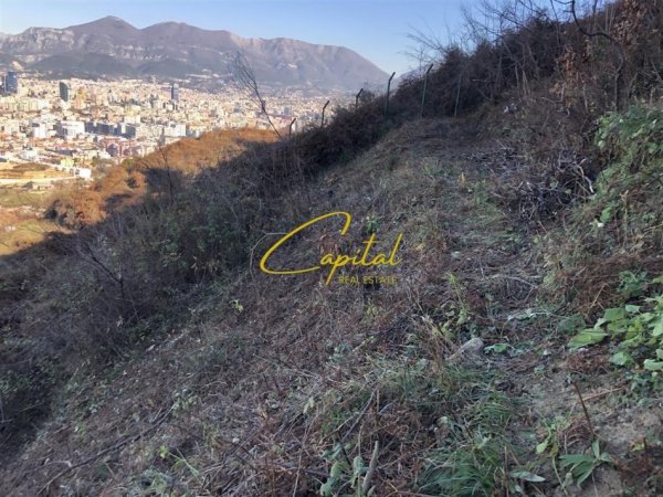 Tirane, shitet truall , 2.535 m² 510.000 € (KODRA E DIELLIT 2)