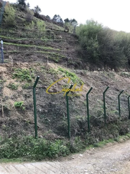 Tirane, shitet truall , 2.535 m² 510.000 € (KODRA E DIELLIT 2)