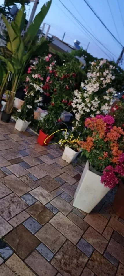 Tirane, shitet Vile 2+1 Kati 0, 1.150 m² 770.000 € (LIQENI I FARKES)