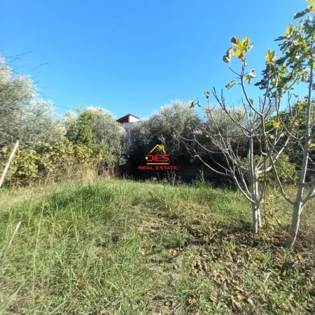 Vlore, shitet toke , 7.500 m² 115.000 € (Rruga Demokracia)
