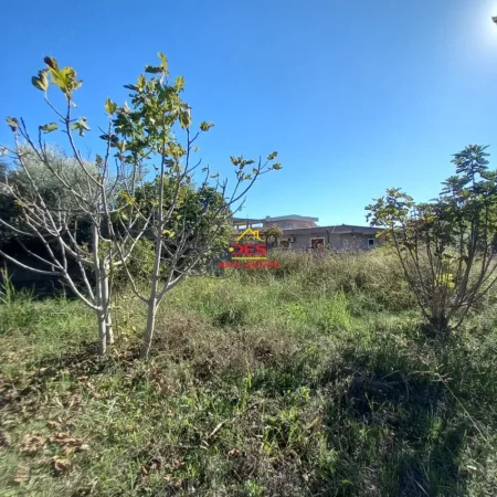 Vlore, shitet toke , 7.500 m² 115.000 € (Rruga Demokracia)