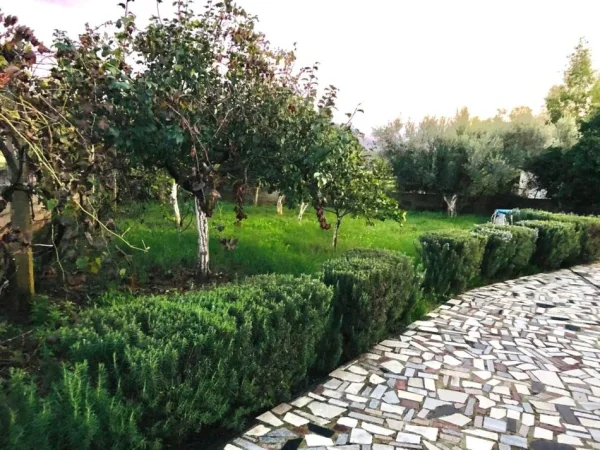 SHITET : ☄️Shtëpi + Truall ( Sarandë 12 Km nga Deti  🌊⛱️)  455.5 m² ndërtim & 272 m² truall  ( me 550€/m²) 🌪️😮 250.000€