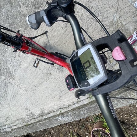 Tirane, shes biciklete elektrike Reise &amp; Muller e kuqe 600 €