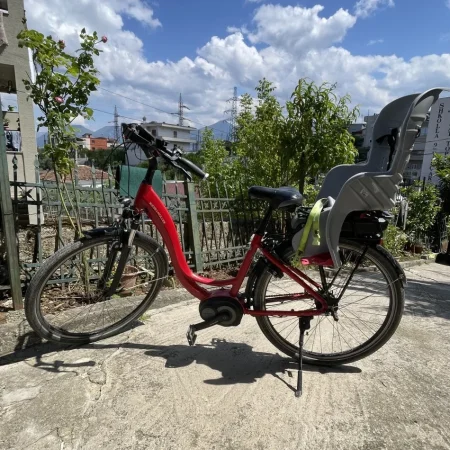 Tirane, shes biciklete elektrike Reise &amp; Muller e kuqe 600 €
