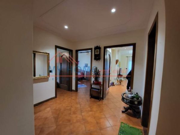 Tirane, jepet me qera apartament 2+1+BLK Kati 7, 115 m² 550 Euro (rruga e elbasanit)