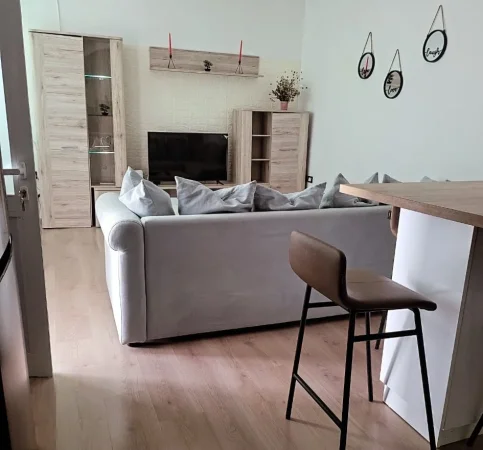 Tirane, jepet me qera apartament 1+1+Aneks+Ballkon Kati 1, 90 m² 450 € (ali demi)