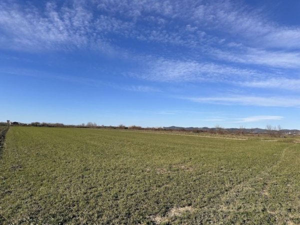 Gjiri Lalezit | Hamallaj, shitet toke ne bregdet , 8.240 m² 350.000 € (Hamallaj)