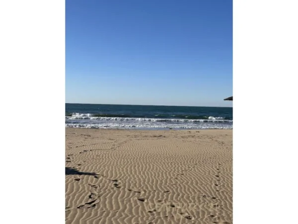 Gjiri Lalezit | Hamallaj, shitet toke ne bregdet , 8.240 m² 350.000 € (Hamallaj)