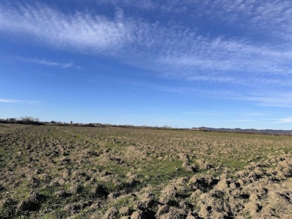 Gjiri Lalezit | Hamallaj, shitet toke ne bregdet , 8.240 m² 350.000 € (Hamallaj)