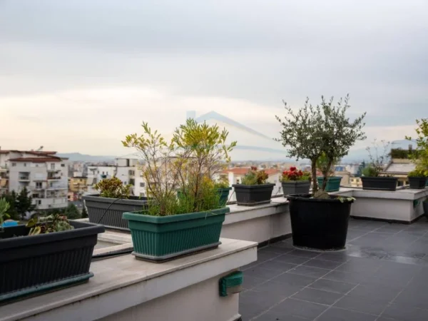 Shitet, Penthouse, Kodra e Diellit,Tiranë.