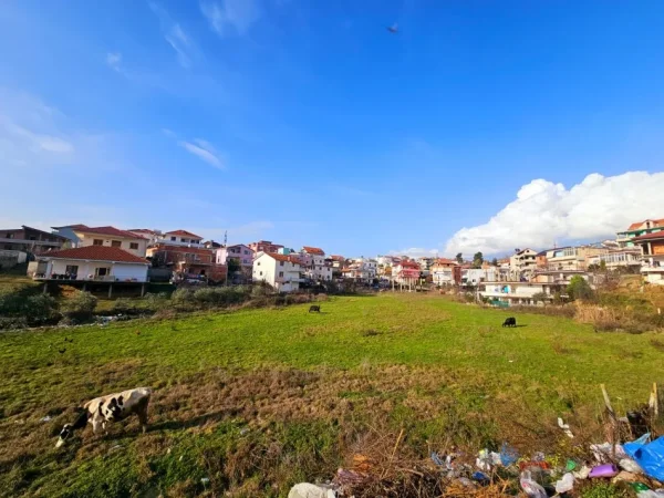 SHITET: TOKE me çmim okazion ne zonen e Saukut  📍  4.000 m² ( 520.000 € )