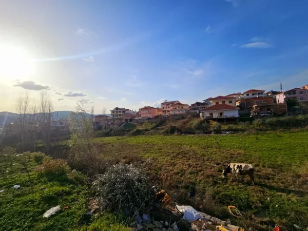 SHITET: TOKE me çmim okazion ne zonen e Saukut  📍  4.000 m² ( 520.000 € )