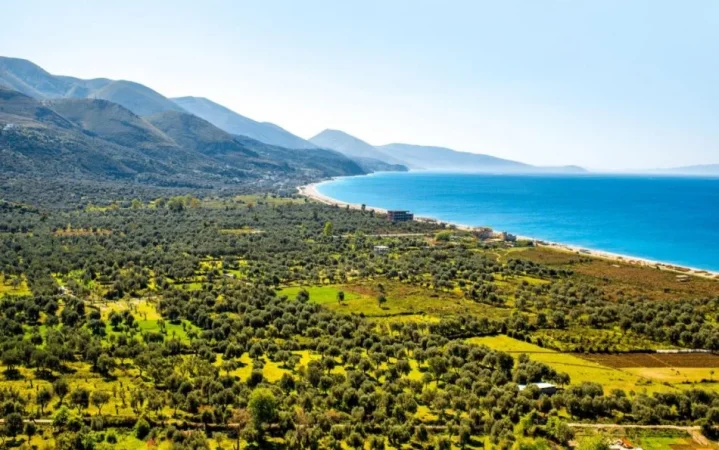 Vlore, shitet toke ne bregdet , 6.200 m² 870.000 € (Palase, Vlore)